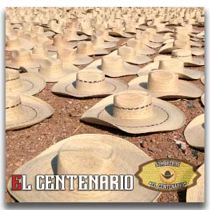 Sombreors Centenario