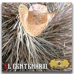 Sombreors Centenario